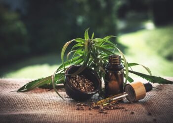 The Green Revolution: Embracing Cannabis-Infused Wellness for a Healthier Future
