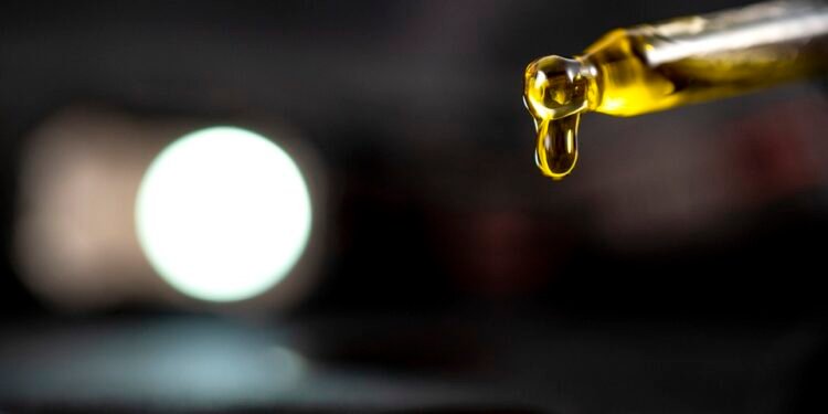 The Ultimate Cannabis Strain Handbook: Your Complete Guide to Finding the Perfect High