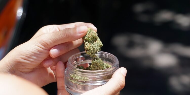 Unlocking the Power of Medical Marijuana: Expert Advice from Top Doctors