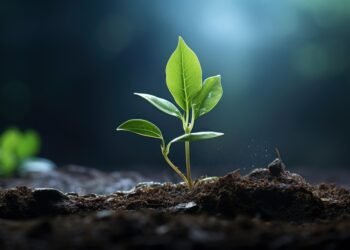 Unveiling the Secrets: The Essential Light Requirements for Growing Cannabis