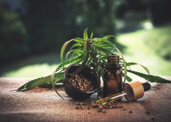 Unlocking the Healing Power: Embracing Holistic Health with Cannabis
