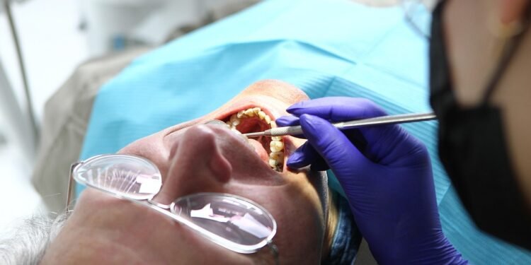 The Power of Plants: Unleashing the Nutritional Benefits of Cannabis