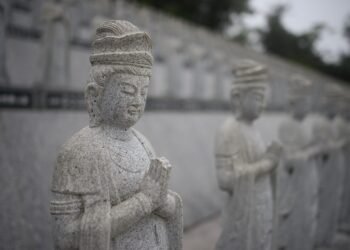 Budding Roots: A Journey Through Cannabis History