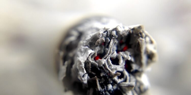 The Ultimate Guide to Unlocking the Power of THC Tinctures