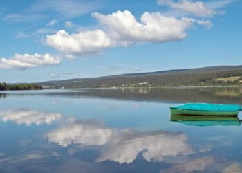 Breaking Ground: Navigating the Legal Landscape of Hemp Farming