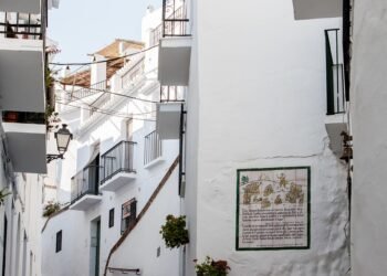 High Society: Exploring the Vibrant World of Marijuana Culture