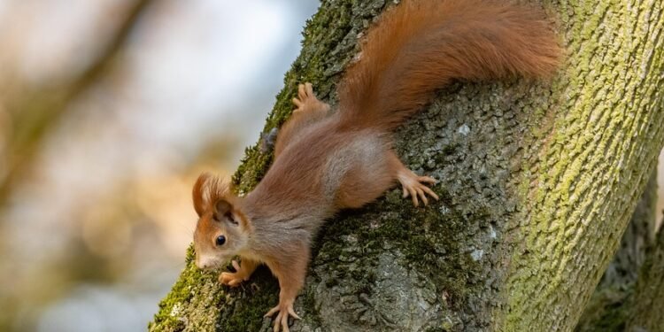 Unleashing the Power of the Top Cannabis Strains: A Guide to the Best Bud