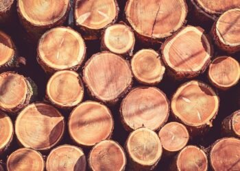 Unlocking the Power of Hybrid Cannabis: The Ultimate Guide to Finding Your Perfect Strain