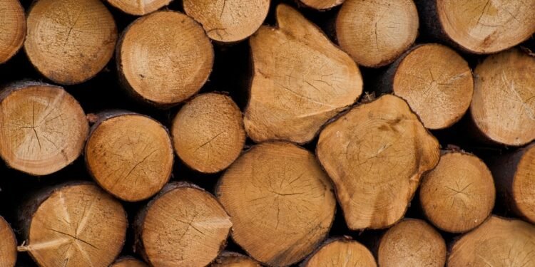 Unleash Your Senses: Exploring the Ultimate Cannabis Strain Catalog