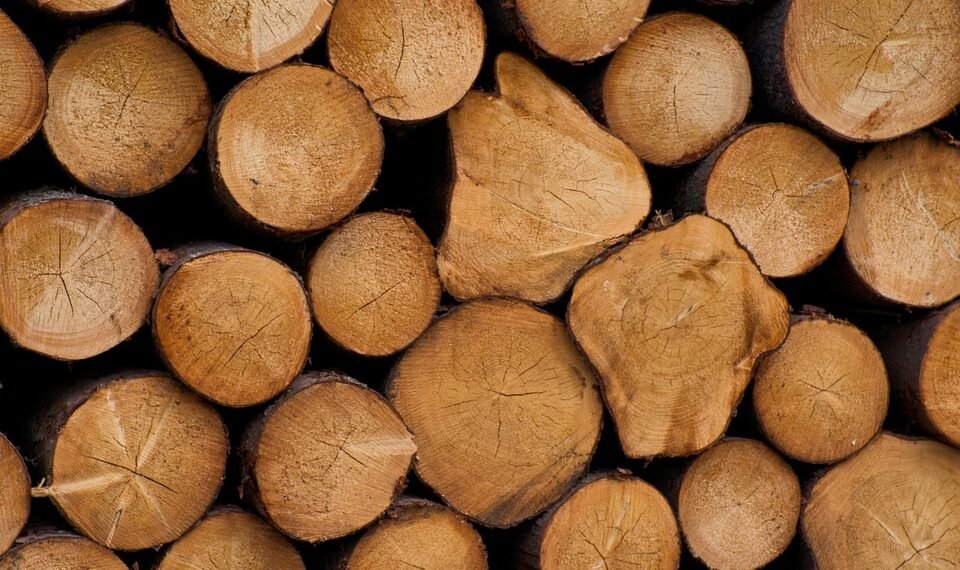 Unleash Your Senses: Exploring the Ultimate Cannabis Strain Catalog