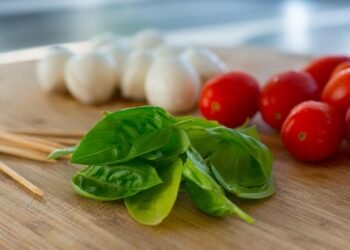 Infused Eats: Elevate Your Meals with THC Seasoning Recipes