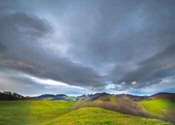 The Green Revolution: Navigating the Complex World of Hemp Regulations