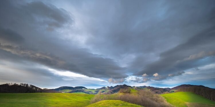 The Green Revolution: Navigating the Complex World of Hemp Regulations