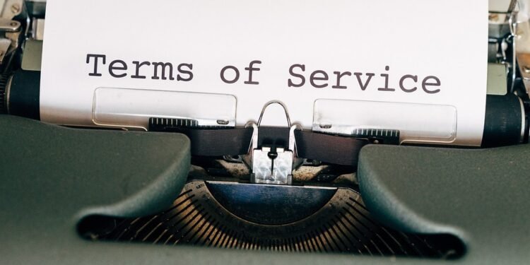 Green Light: Navigating the Cannabis Licensing Process with Success