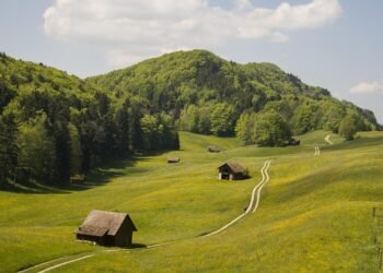 Up in Smoke: Why Age Restrictions on Cannabis Are Crucial for Public Health