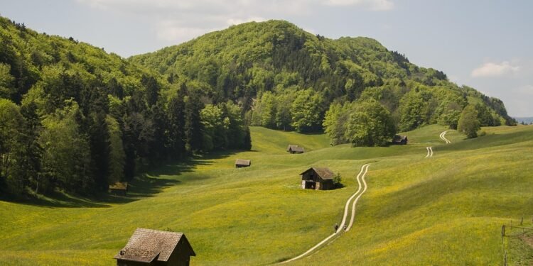 Up in Smoke: Why Age Restrictions on Cannabis Are Crucial for Public Health