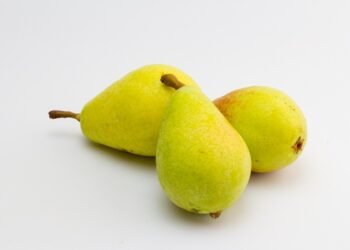 Unwind and Unplug: The Power of Cannabis for Stress Relief