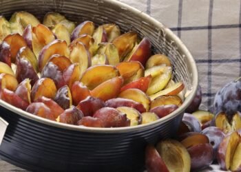 Unleash the High: The Ultimate Guide to THC Infused Drinks