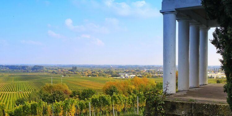 The Green Revolution: Unlocking the Power of Cloning Cannabis Plants