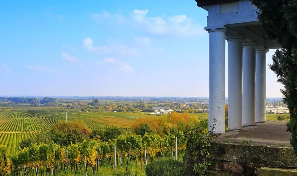 The Green Revolution: Unlocking the Power of Cloning Cannabis Plants