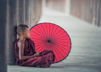 The High Life: Exploring the Rich and Diverse Culture of THC