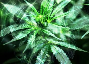 The Healing Power of MMJ: Unlocking the Potential for Wellness