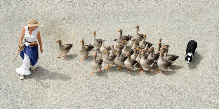 Rooted in Tradition: Exploring the Rich History of Cannabis Culture