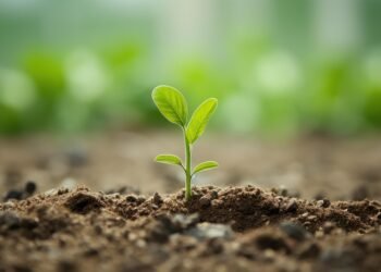 The Art of Cannabis Harvesting: Maximizing Yield and Quality with Proven Techniques