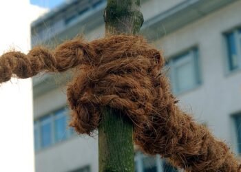 The Top 10 Legendary Cannabis Strains You Need to Try in 2021