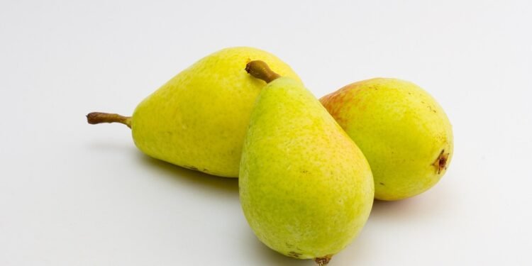 CBD: The Natural Path to Wellness and Balance