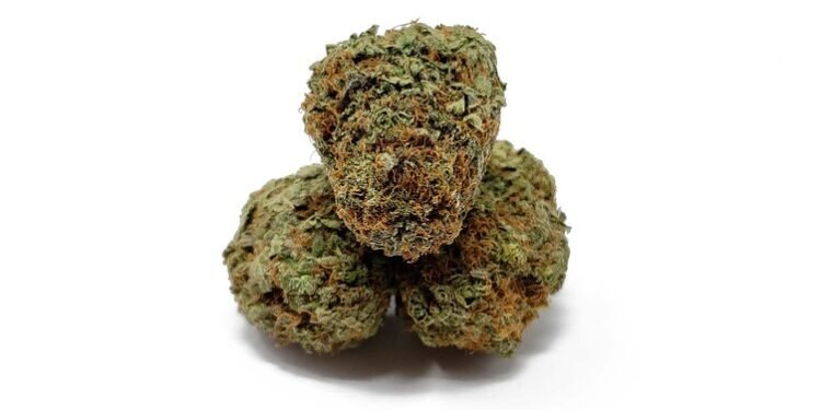 The Ultimate Guide to Cannabis Strains: Unlocking the Power of Terpenes and Cannabinoids