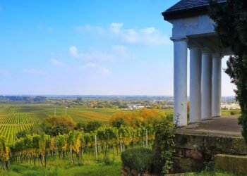 Budding Success: Exploring Innovative Cannabis Harvesting Techniques