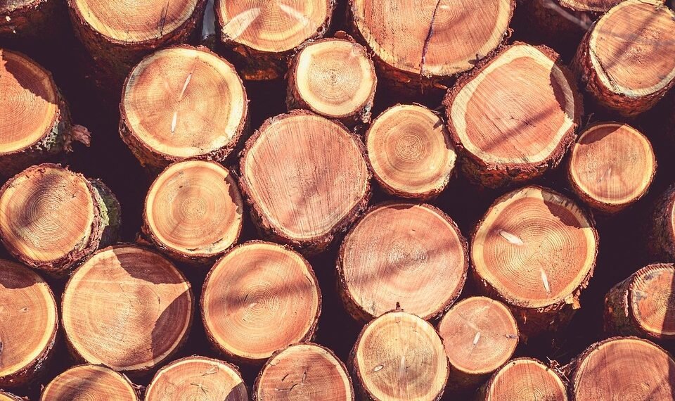 The Healing Power of Medical Cannabis: Exploring the Most Effective Strains for Relief and Wellness