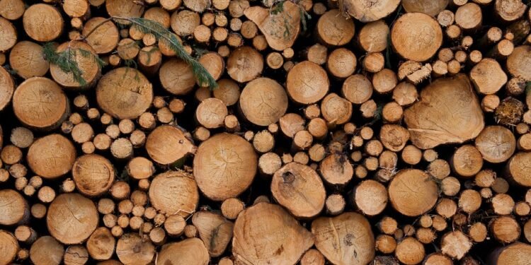 The Best of the Buds: Top Cannabis Strains for Ultimate Relaxation and Bliss