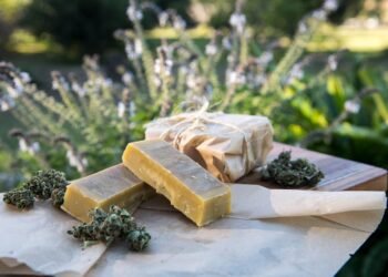 The Evolution of Cannabis Strains: From Ancient Roots to Modern Cultivars