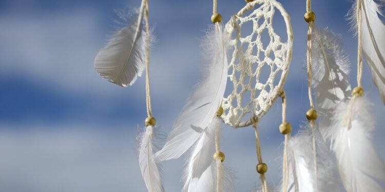 Exploring the Ever-Evolving World of Weed Customs