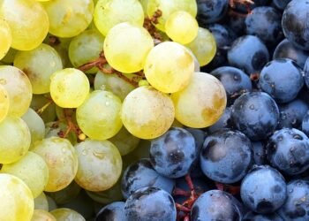 The Essential Tools of the Trade: High-Quality Equipment for Perfecting Your Cannabis Cultivation