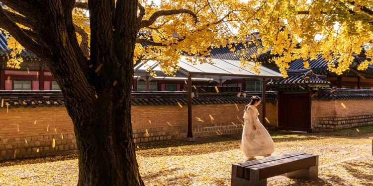 Budding Trends: Marijuana&rsquo;s Impact on Modern Culture