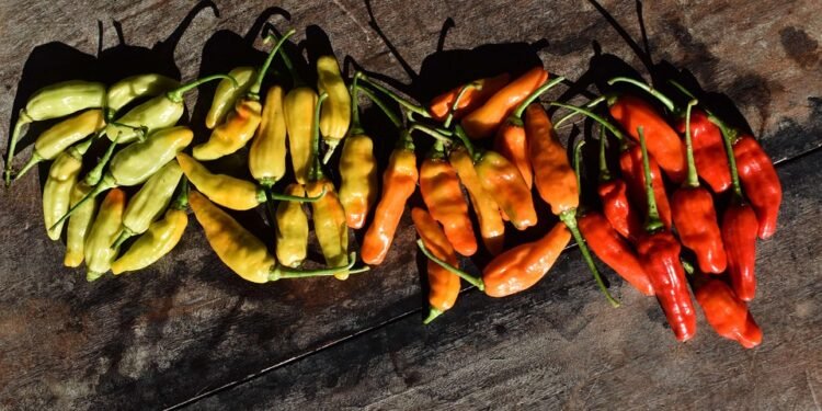 The Ultimate Guide to Elevated Edibles: Mastering Cannabis Cooking at Home