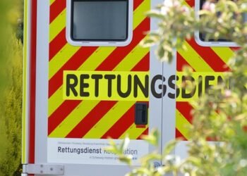 The Healing Power of Cannabinoids: A Comprehensive Guide to Effective Therapy