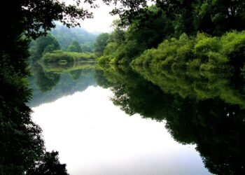 Green Gold: Navigating the Complexities of Marijuana Tax Laws