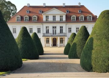 Unlocking the Secrets of Cannabis Cloning: Enhancing Yield and Potency Through Genetic Duplication