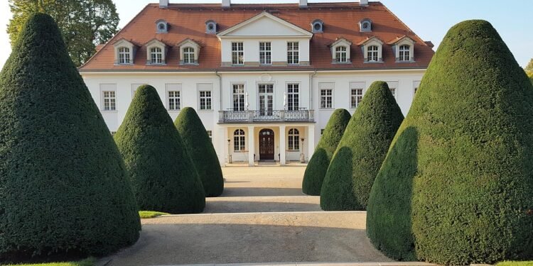 Unlocking the Secrets of Cannabis Cloning: Enhancing Yield and Potency Through Genetic Duplication