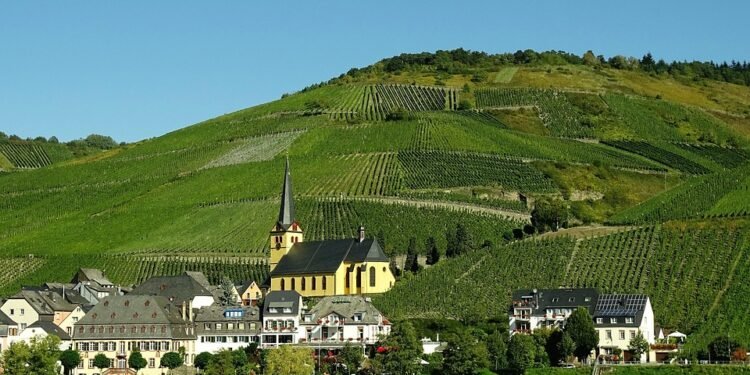 From Seed to Harvest: Navigating the Cannabis Growth Cycle for Maximum Yields