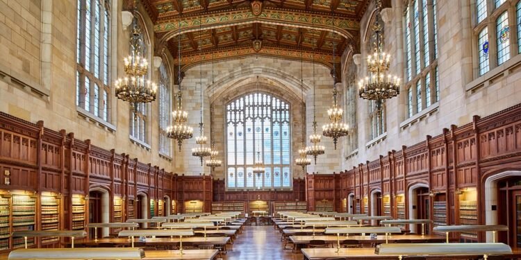 The High Stakes of Cannabis Packaging Laws: Navigating Compliance in the Growing Industry