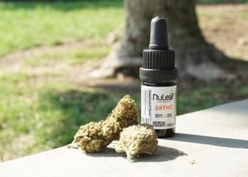 The Green Oasis: Exploring the World of MMJ Dispensaries