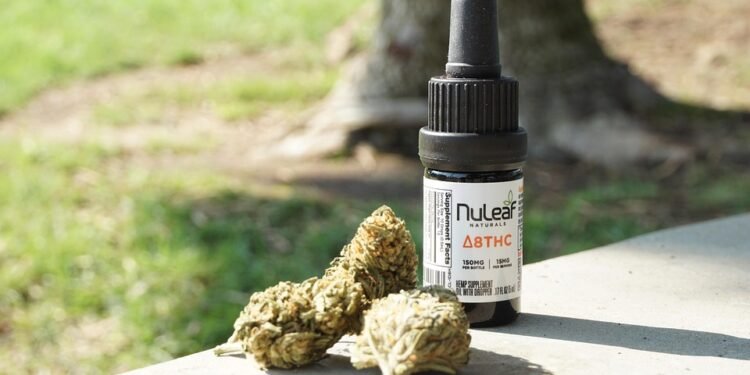 The Green Oasis: Exploring the World of MMJ Dispensaries