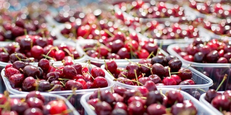 Unlocking the Power of Holistic Healing: The Role of Cannabis in Wellness