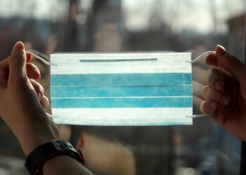 The Ultimate Guide to Harnessing the Power of THC Oil: Everything You Need to Know