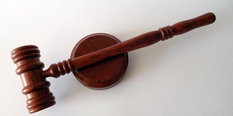 The High Stakes of THC: Navigating the Complex Landscape of Cannabis Legislation